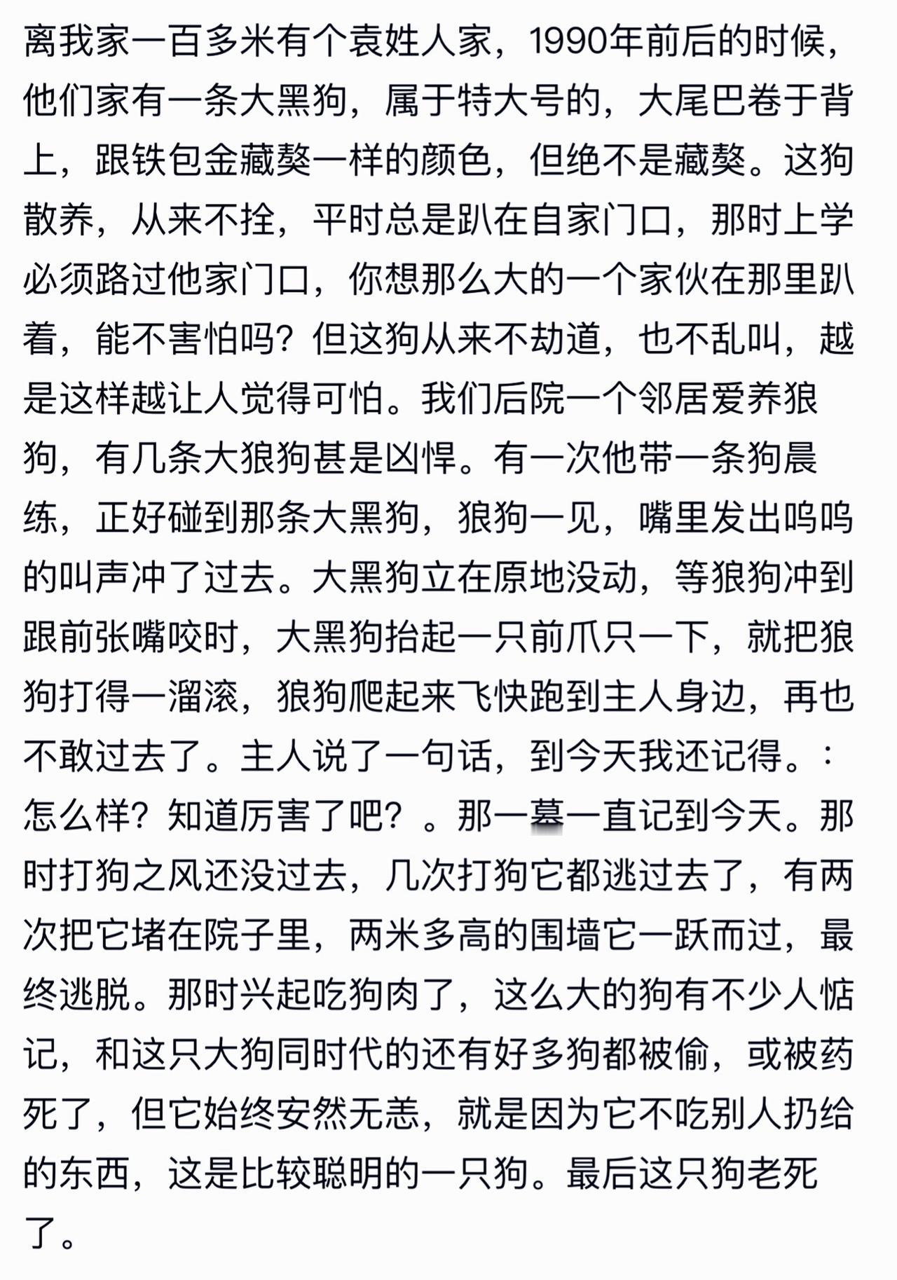 这条铁白金毛色的东北地区笨狗体能如此强悍，一爪拍倒狼狗，跳上两米高墙逃脱了打狗的