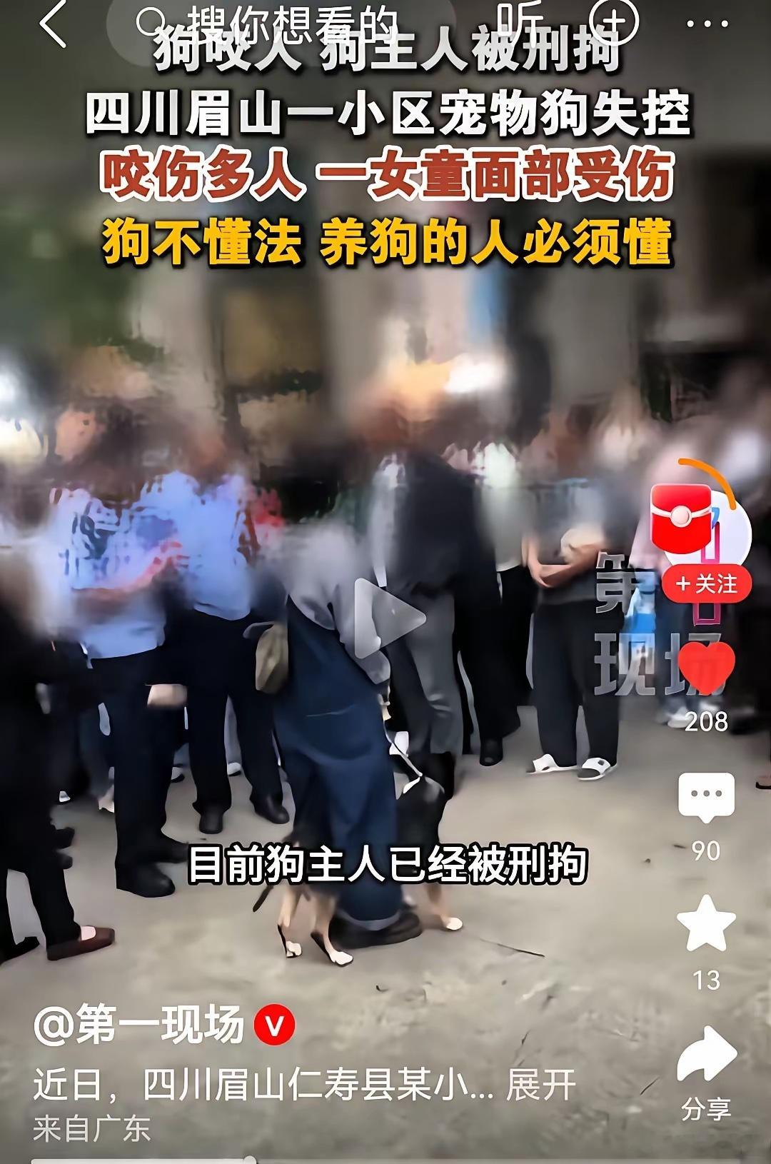 四川眉山小区内狗咬三岁幼童事件，狗主人将不得不面对4大窘境！1、肇事犬只定会被物