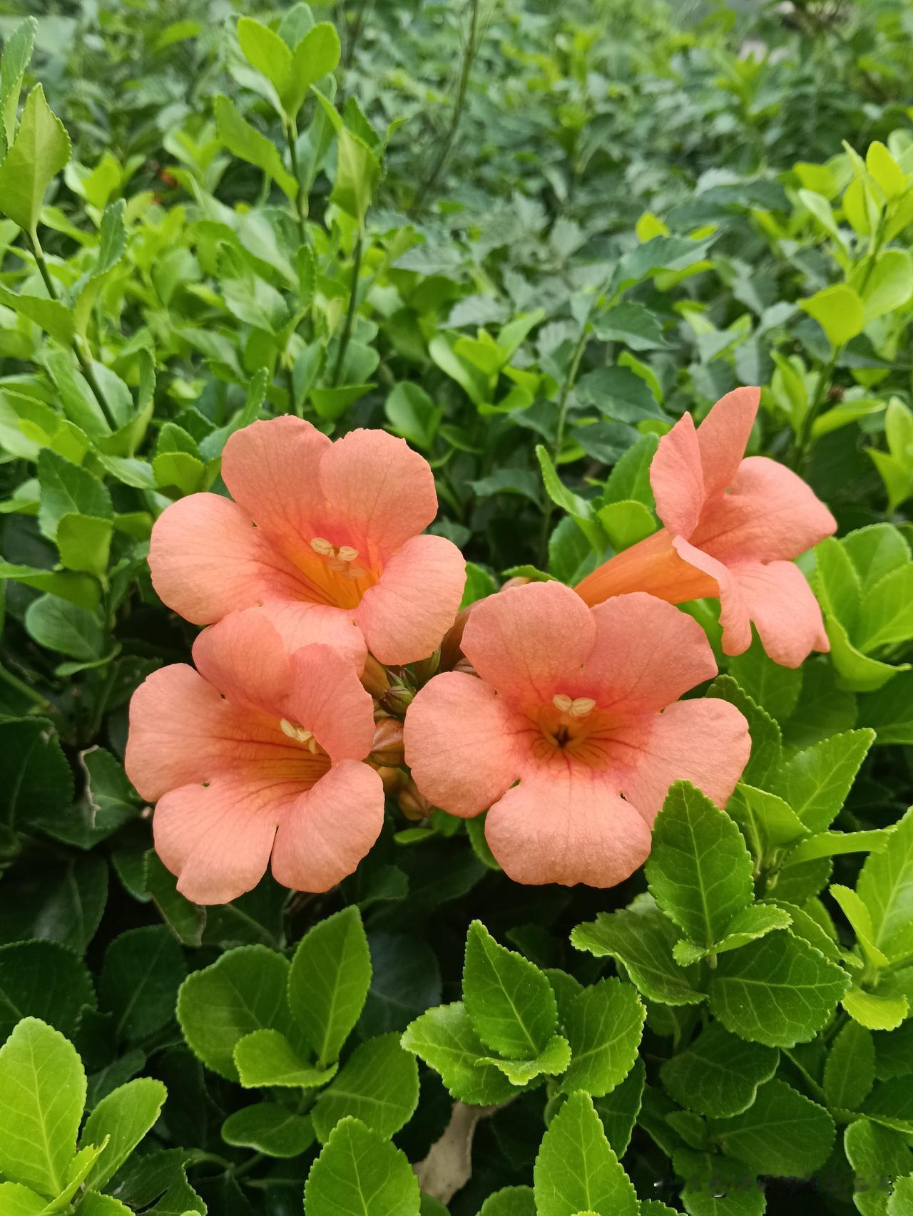 玄学提醒：1.第一：不要穿别人的鞋。2.第二：睡觉时，窗帘记得要留一道缝。