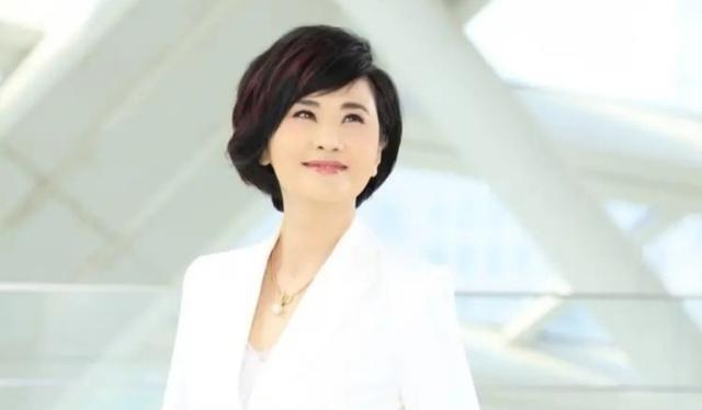 2005年，凤凰卫视的主持人吴小莉，突然在父亲口中知道了自己还有一个亲哥哥。为了