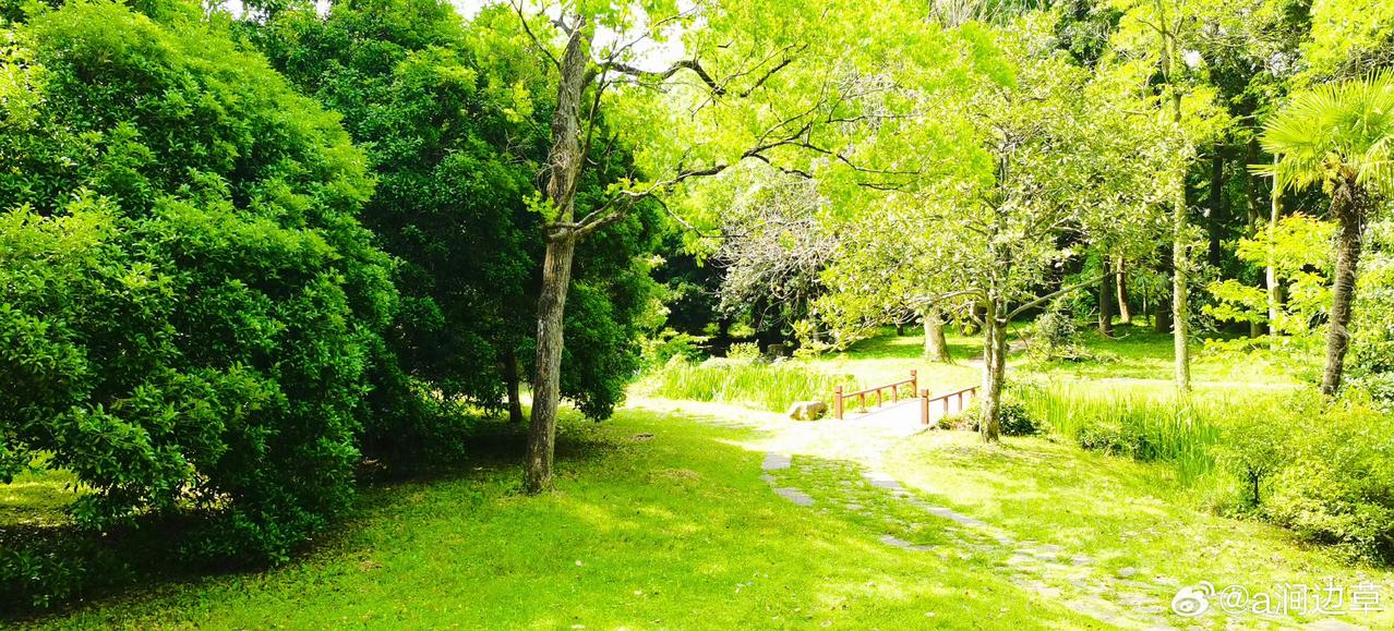 神反转！津巴布韦刚宣布锂矿禁令，美国承诺的“援助金”就黄了？​2月26日，津巴