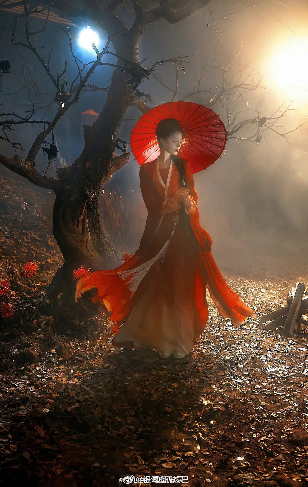 夏弃疾拍的8️⃣贺思慕，好漂亮啊，这质感如何？