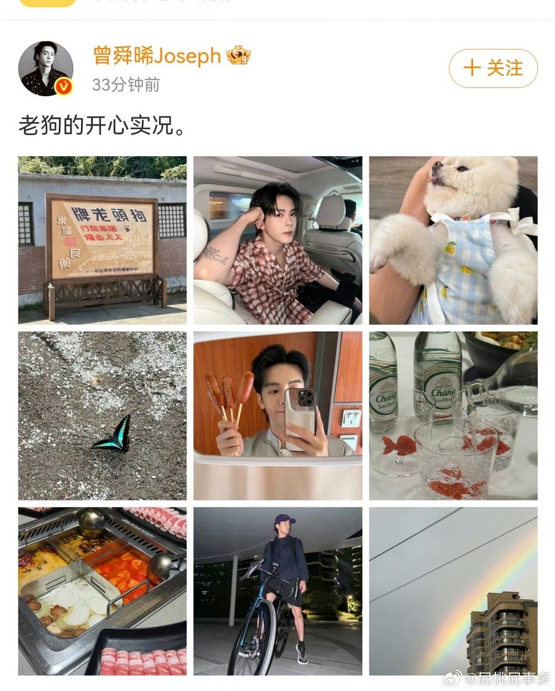两日不见曾舜晞背着我有别的狗了曾舜晞怕不是有“狗狗吸铁石”体质？刚和三寸丁培养