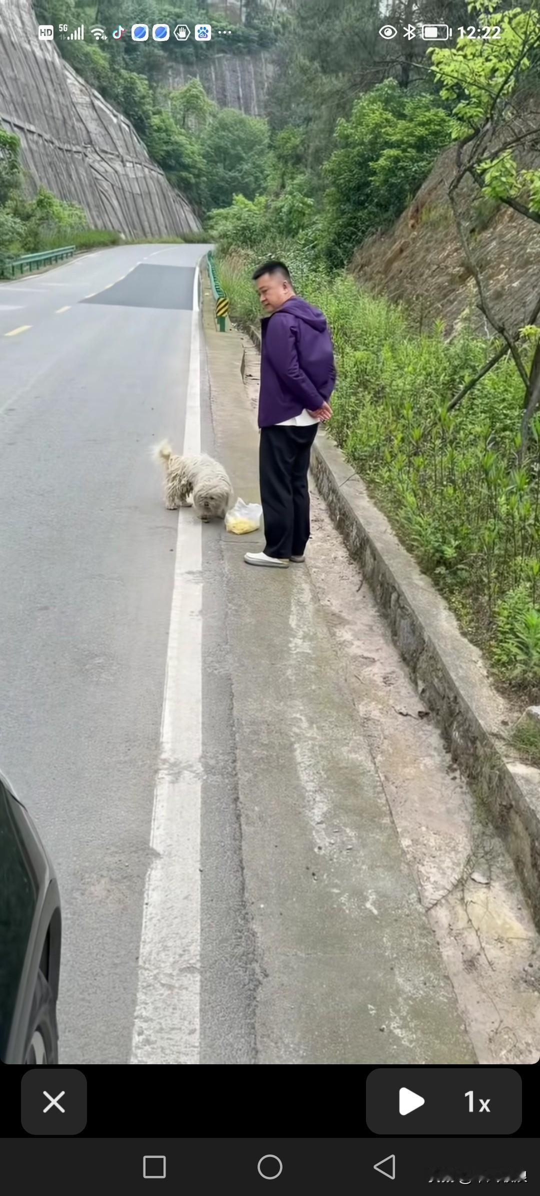 开车到半山腰时，我遇见了一只流浪狗。我满心好奇，这荒山野岭的，哪来的狗呢？于是我