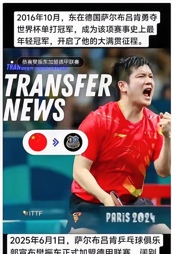 终于扒出来了！原来小胖加盟德甲根本不是偶然，背后推手藏得太深了。什么乒协施