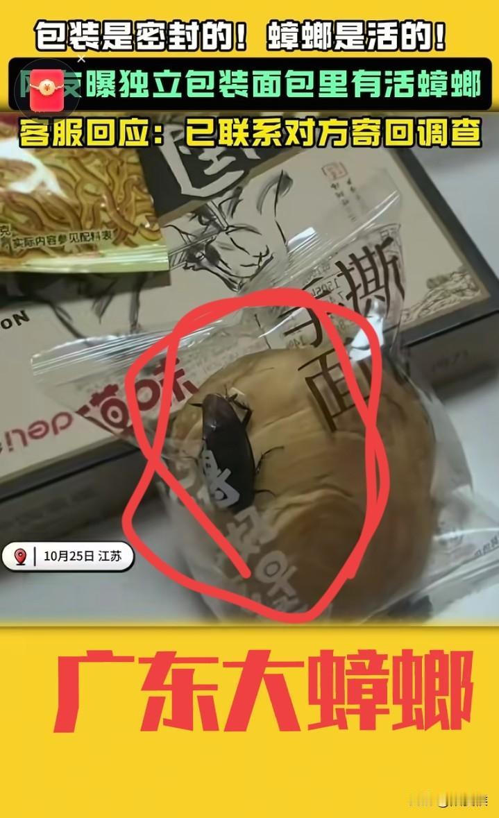 怪事年年有，今年特别多面包袋里出现了活蟑螂，而且这只蟑螂不仅可以一个月不吃不喝