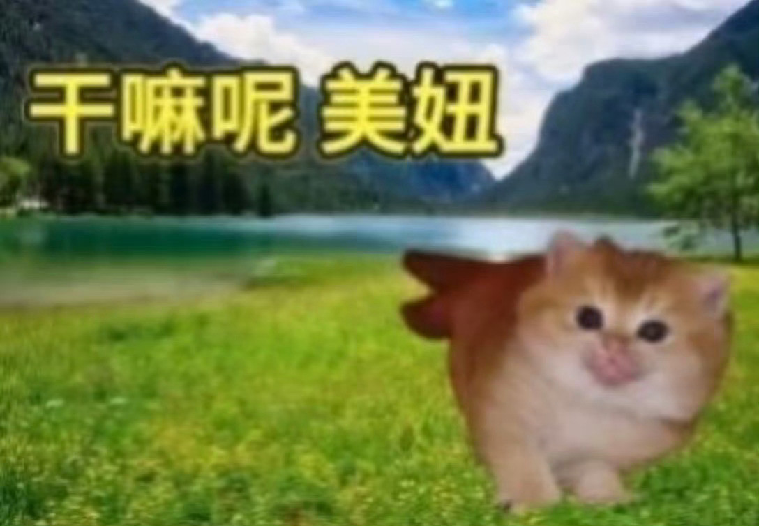 美妞干嘛呢​​​