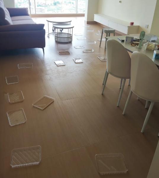 装修完最怕什么？不是通风，是怕白通风！很多人以为除甲醛就是打开窗户猛吹半年，结果