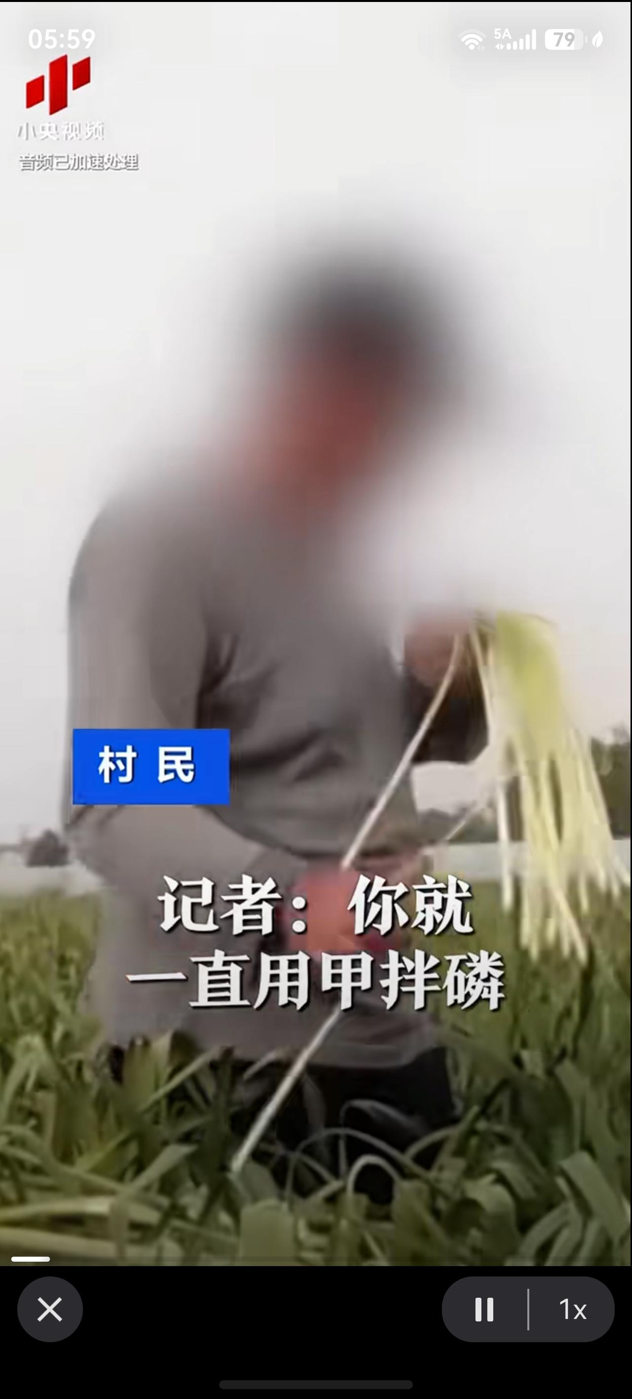 央视曝光！国家禁用高毒农药流入农田记者采访田间老农“你就一直用甲拌磷？”老农