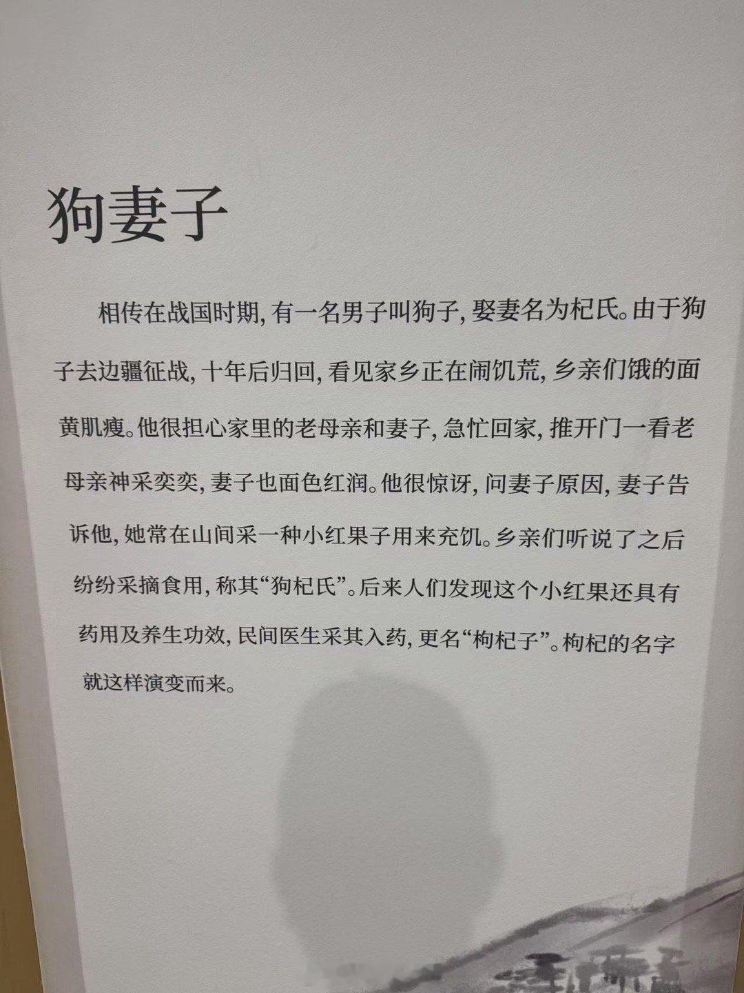 很多人不知道宁夏枸杞的来历，科普一下​​​