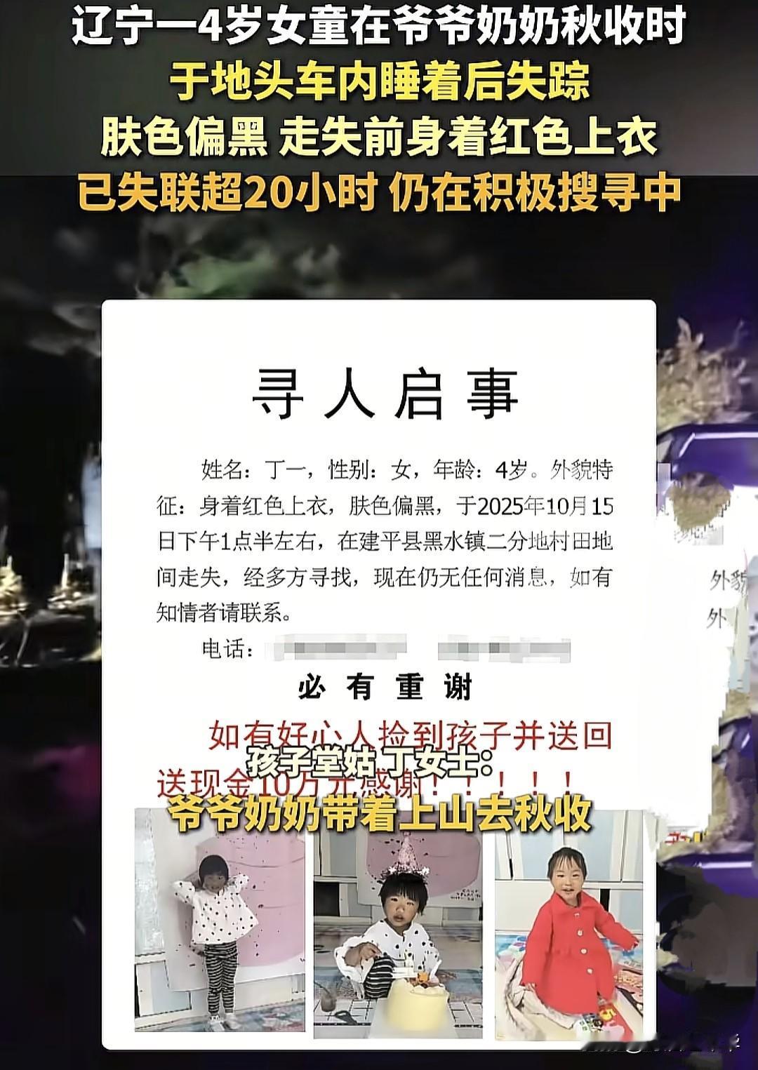 从参与搜救人员处获知，警犬在追踪小女孩气味的过程中，走到附近的公路旁边就不动了，