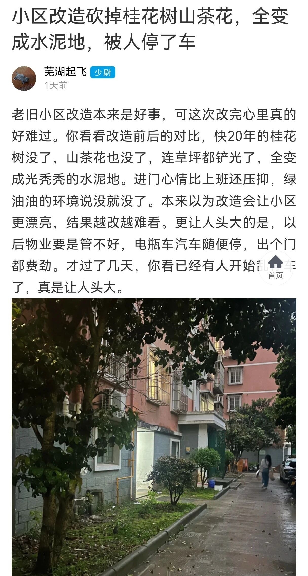 宁波业主吐槽小区改造把28年的树砍了浇成水泥地宁波业主吐槽小区改造后，快20年的