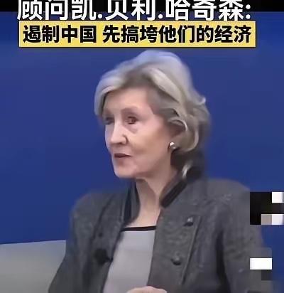 美国军方向美国政府提出建议，与其押注中国能不能收回台湾地区，不如用这一条件换取更