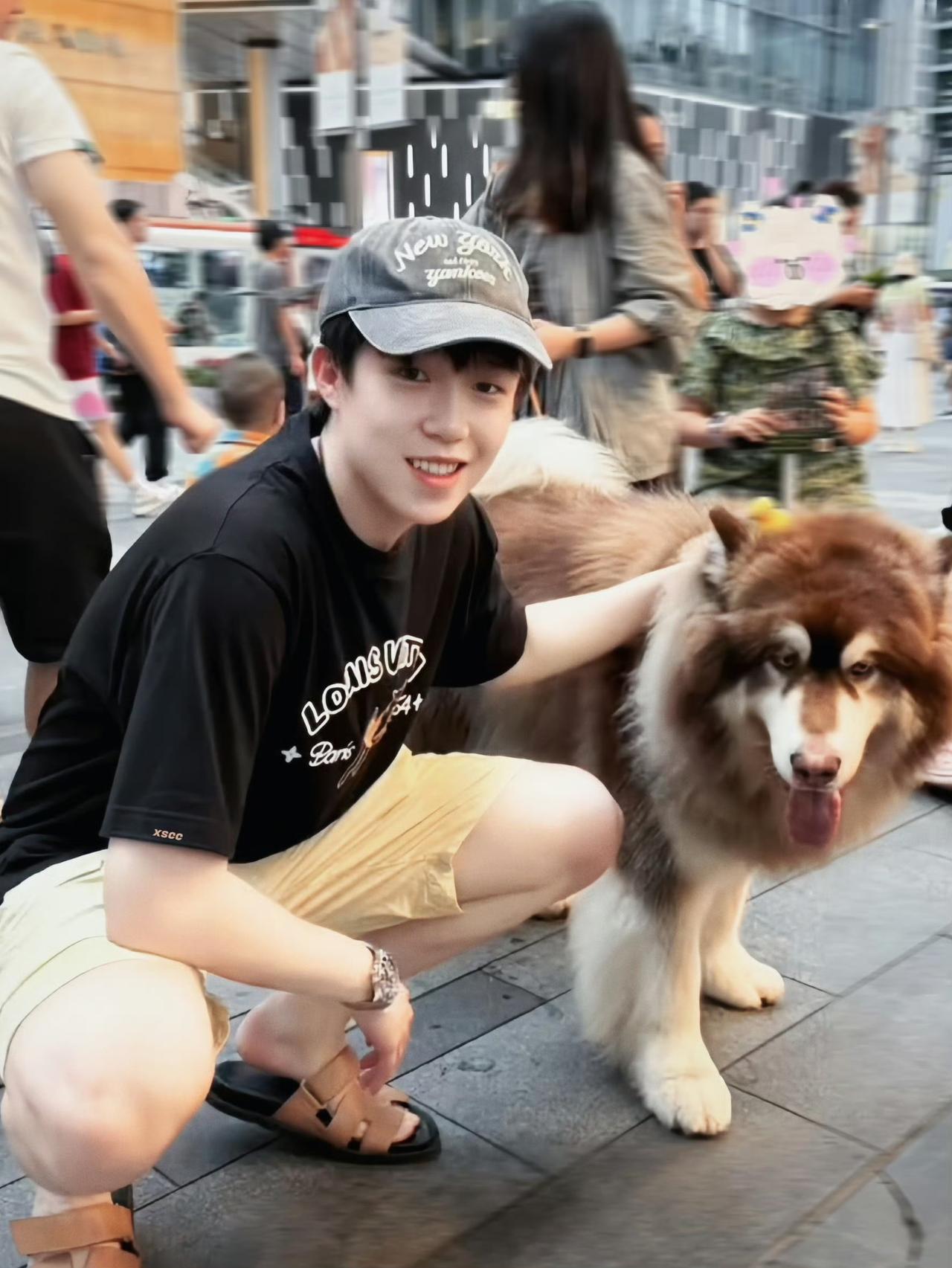 赛场是猛将，私下是暖男！王楚钦街头撸狗，笑容太治愈！赛场外的王楚钦，也太有生