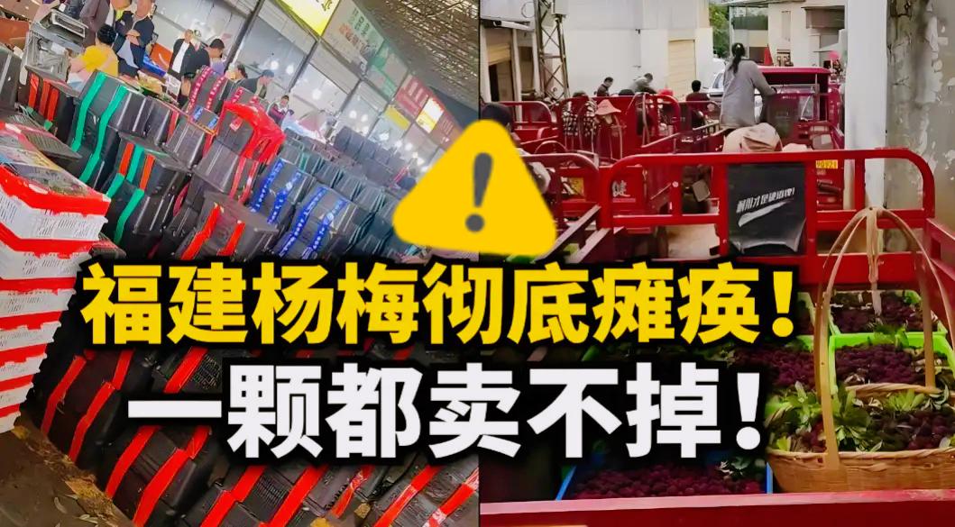 你们泡药的时候想过我会不会生病吗？没有！那现在卖不动了，我凭什么心疼你？一句