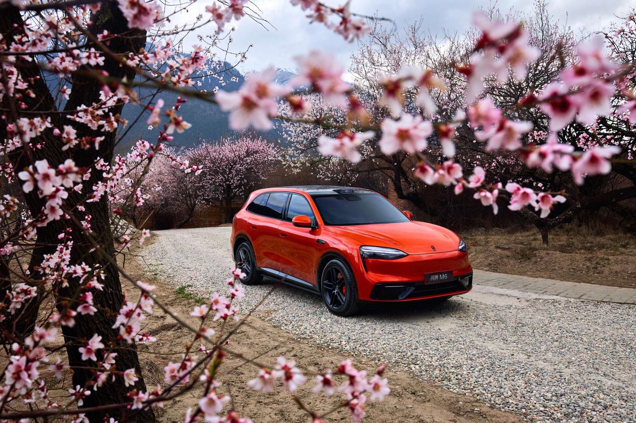 问界M6林芝实测里有个画面特别戳人：夜里无路灯，对面大车远光灯刺眼，系统从盲区里