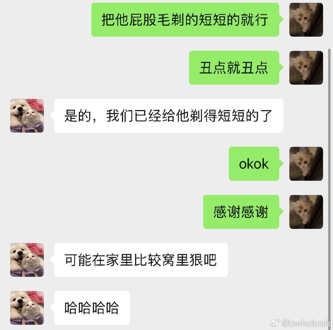 臭猫辛辛苦苦加班回来发现他拉肚子了天都塌了美团一个一个打电话问能不能洗澡遇到了好心店家应该是知道我今