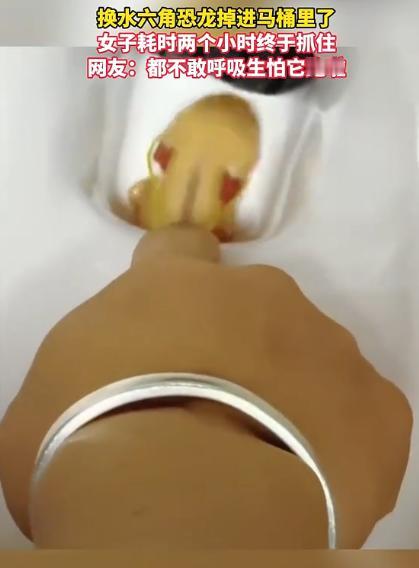 不忍直视！吉林一女子上完厕所，直接将手伸进马桶，一扣就是2小时，原来，她上完厕所
