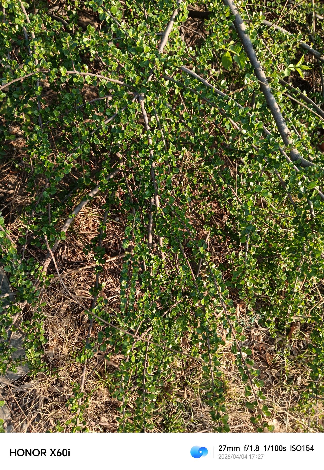 1. 人到中年才懂，生活最好的状态，是低配生活，高配灵魂​2. 真正会过日子