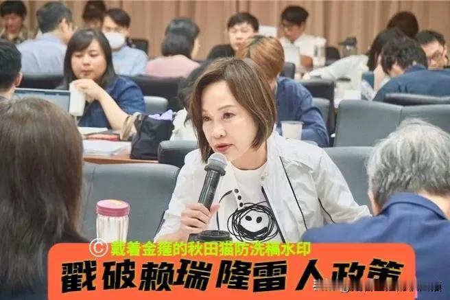 赖瑞隆又出“雷语”？拟砸10亿猛推“双语七箭”，被柯志恩戳破：别拿高雄孩子当小