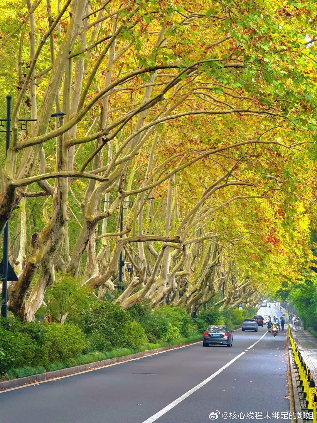 很多美国人没什么存款可能确实有人比较着急要救济金希望总统赶紧安排美总统称将给美国