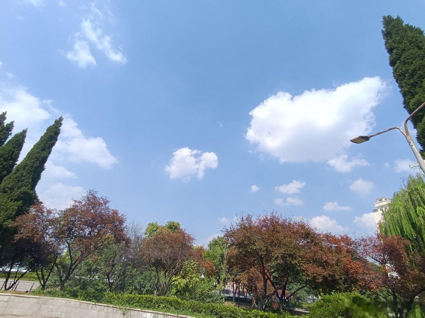 #手机摄影#仰望天空徒增百倍精神，凭添无限奔赴美好的动力​