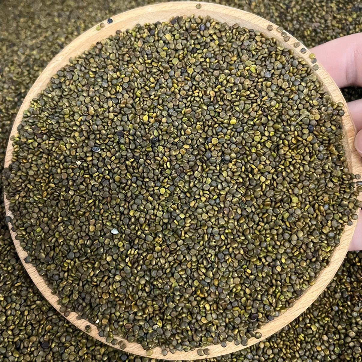 医生不会告诉你的一味药，专治阳痿早泄“陈教授，我这问题反复五年，累点、生气就