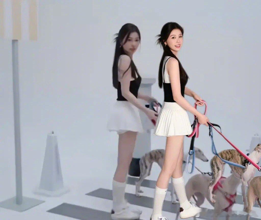 虞书欣新代言工作室发视频，🐶的腿也被拉长了吗？[吃瓜]​​​