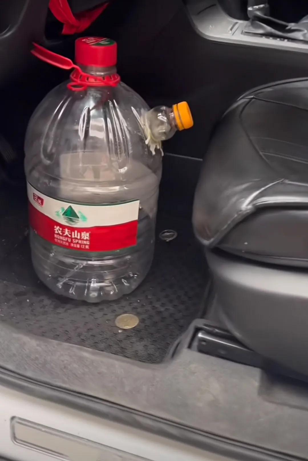 不懂就问：回老家带这个是几个意思？