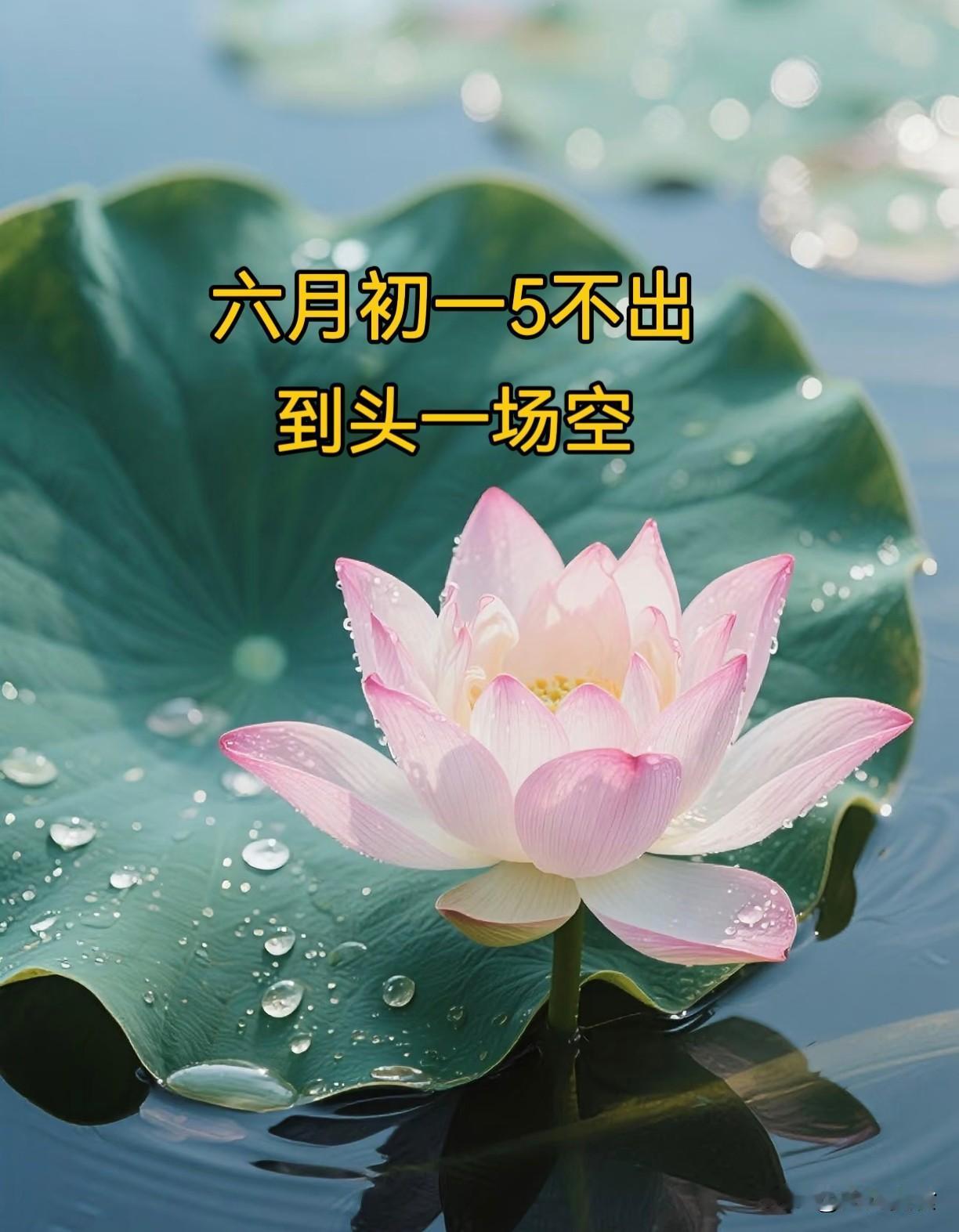 “六月初一5不出，到头一场空”，今日六月初一，5不出是指啥？农历六月初一为