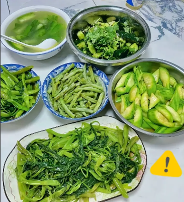 今天下午家里来了几个客人，晚上吃饭有六人，我做了一桌子菜