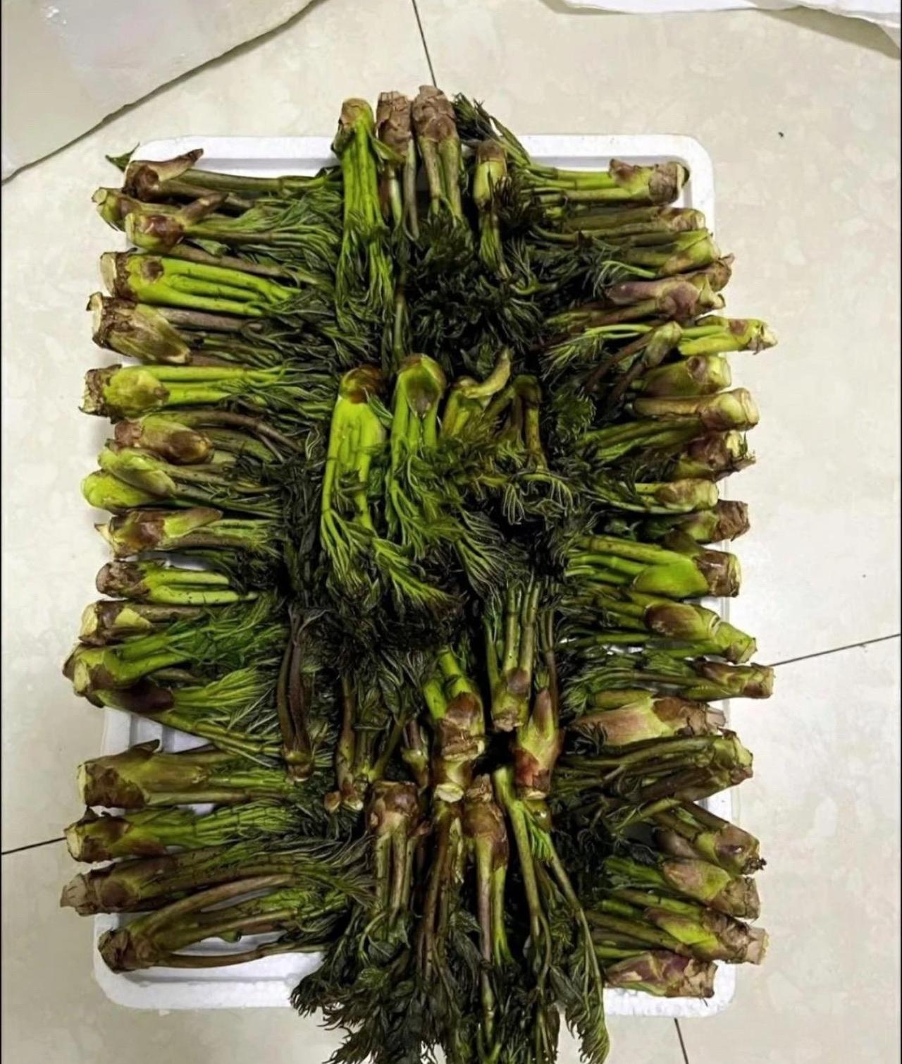 同事给的好东西
