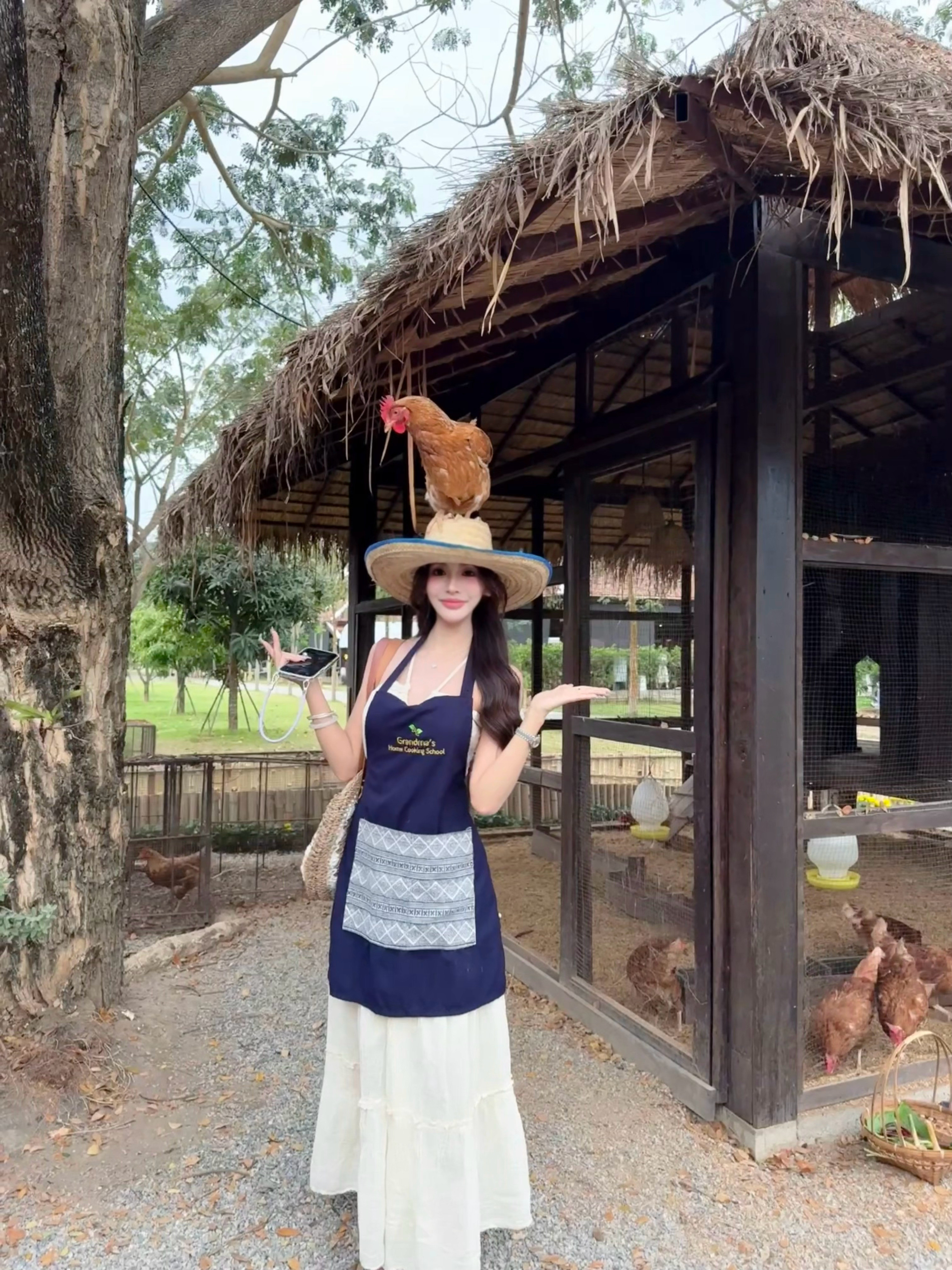 杭州不做非要来泰国做饭