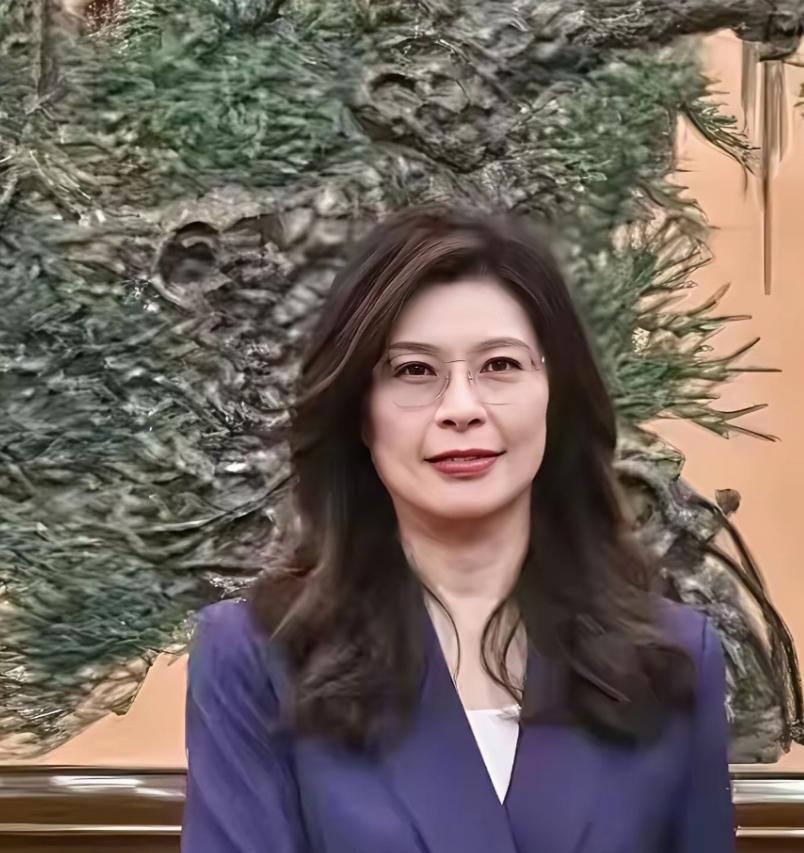 瞒不住了！郑丽文访陆，台湾县市长集体发声，蒋万安、侯友宜、张善政态度太真实 