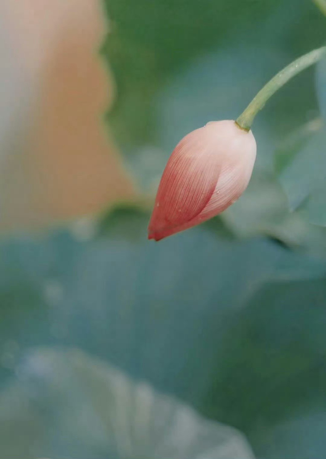 寓意很美的成语1.亨嘉之会：指优秀人物济济一堂。2.兰薰桂馥：原比喻恩泽长留，历