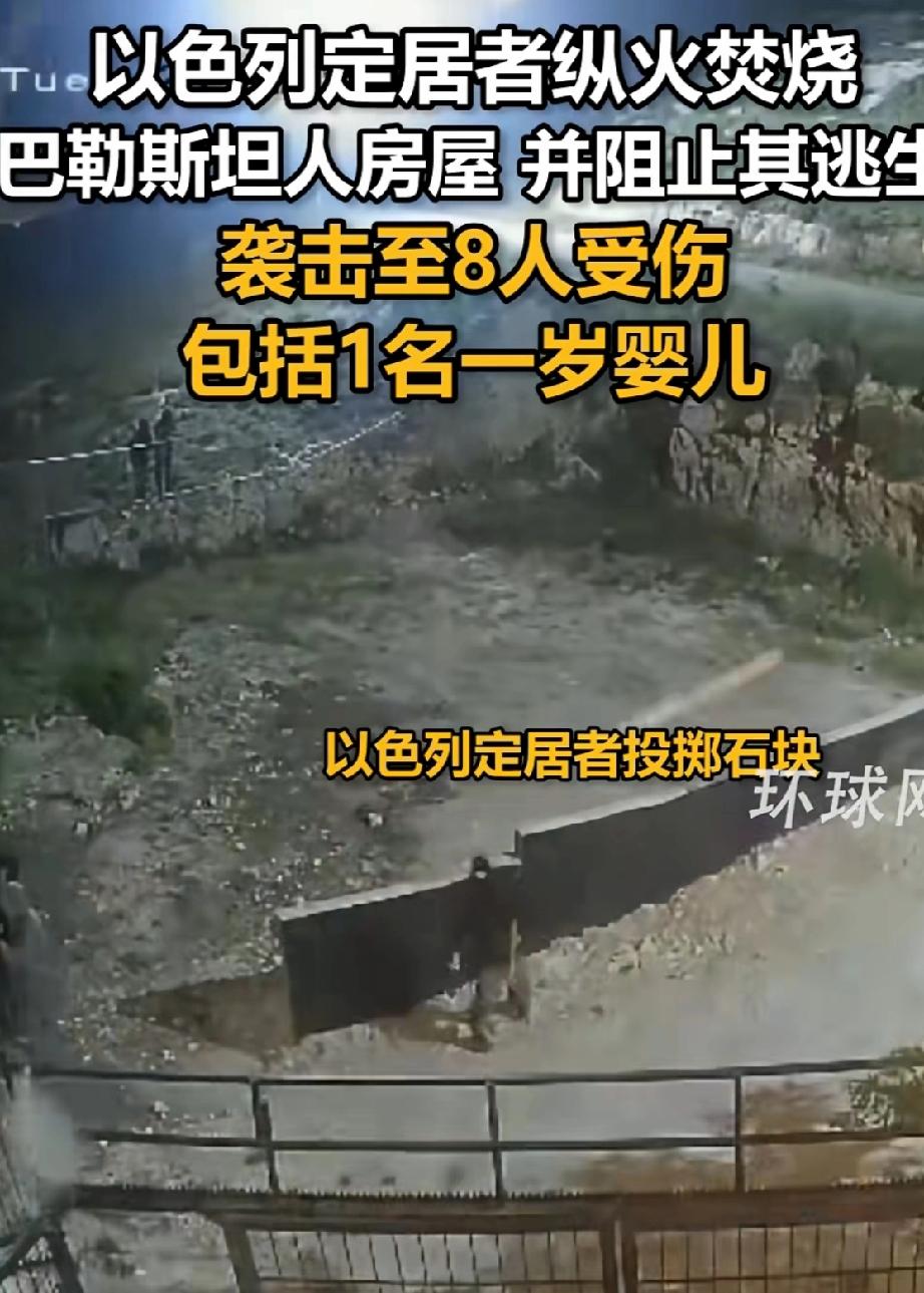 这个应该怎么洗。