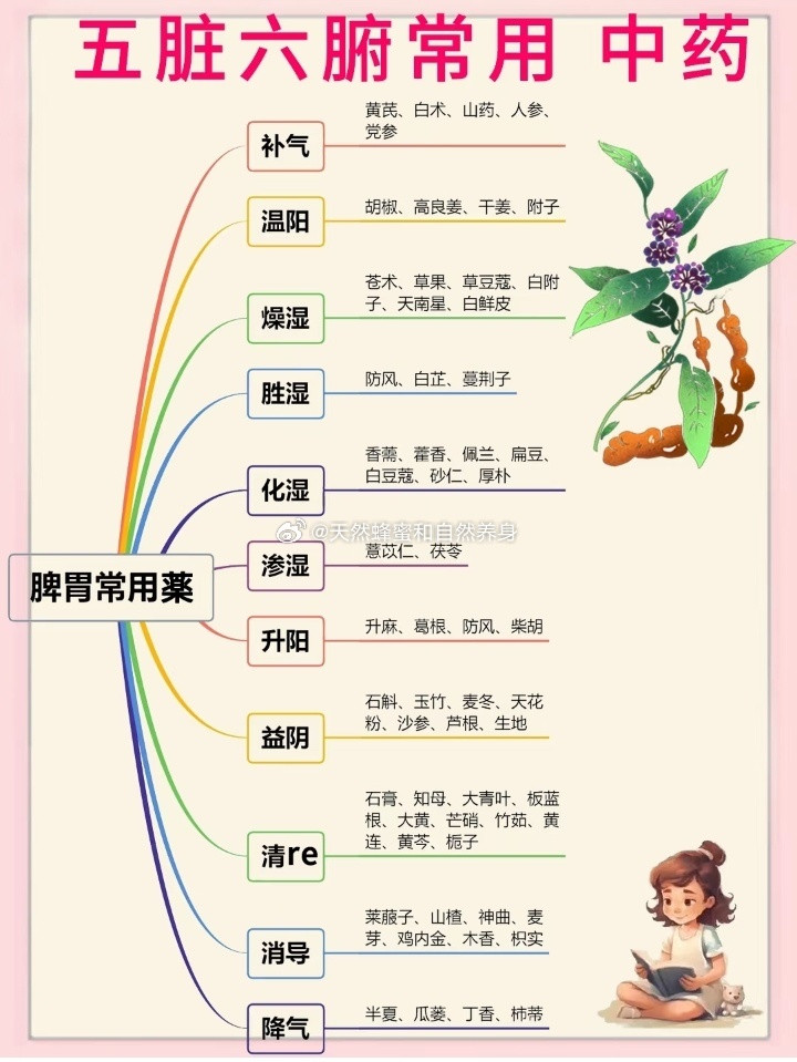 养.五脏六腑药性归类表！​​​