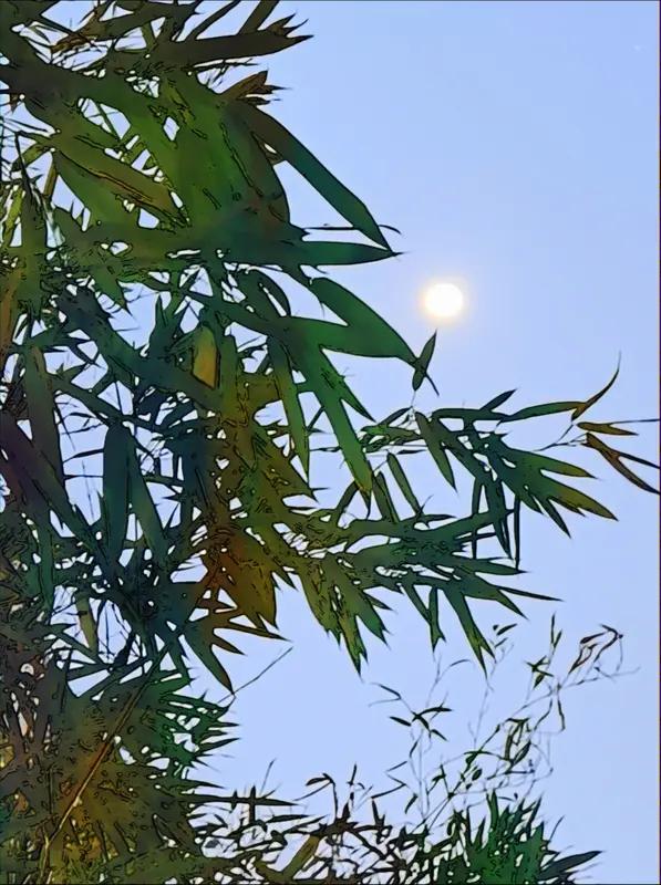 上联：风摇雪影梅香远，邀您对下联月映溪光竹韵长。