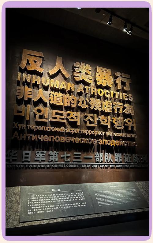 《731》：一场超出预期的历史回望！早听说《731》要上映，我却一直躲着—