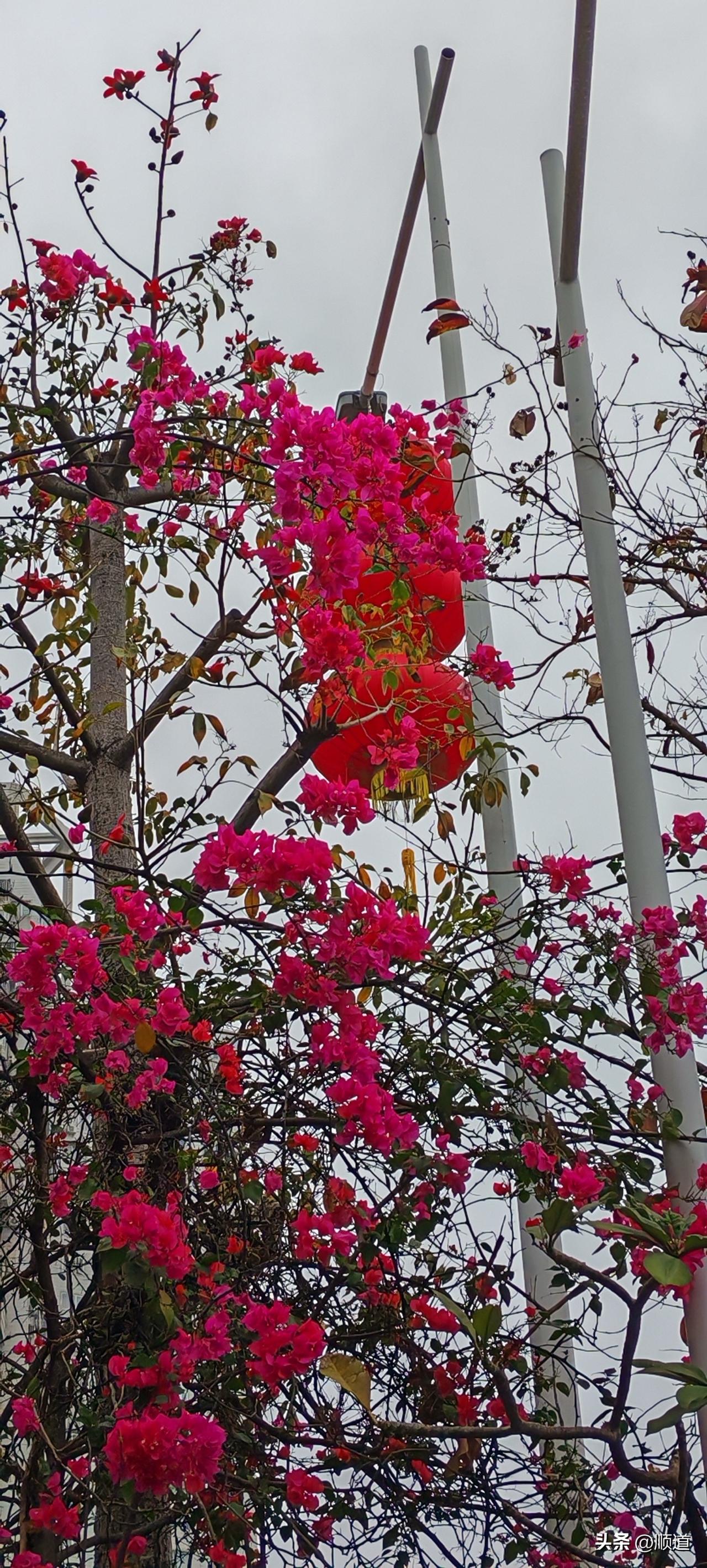 女子35岁离婚了，女儿16岁，俩双胞胎儿子15岁，都归她抚养。熟人给介绍一个小