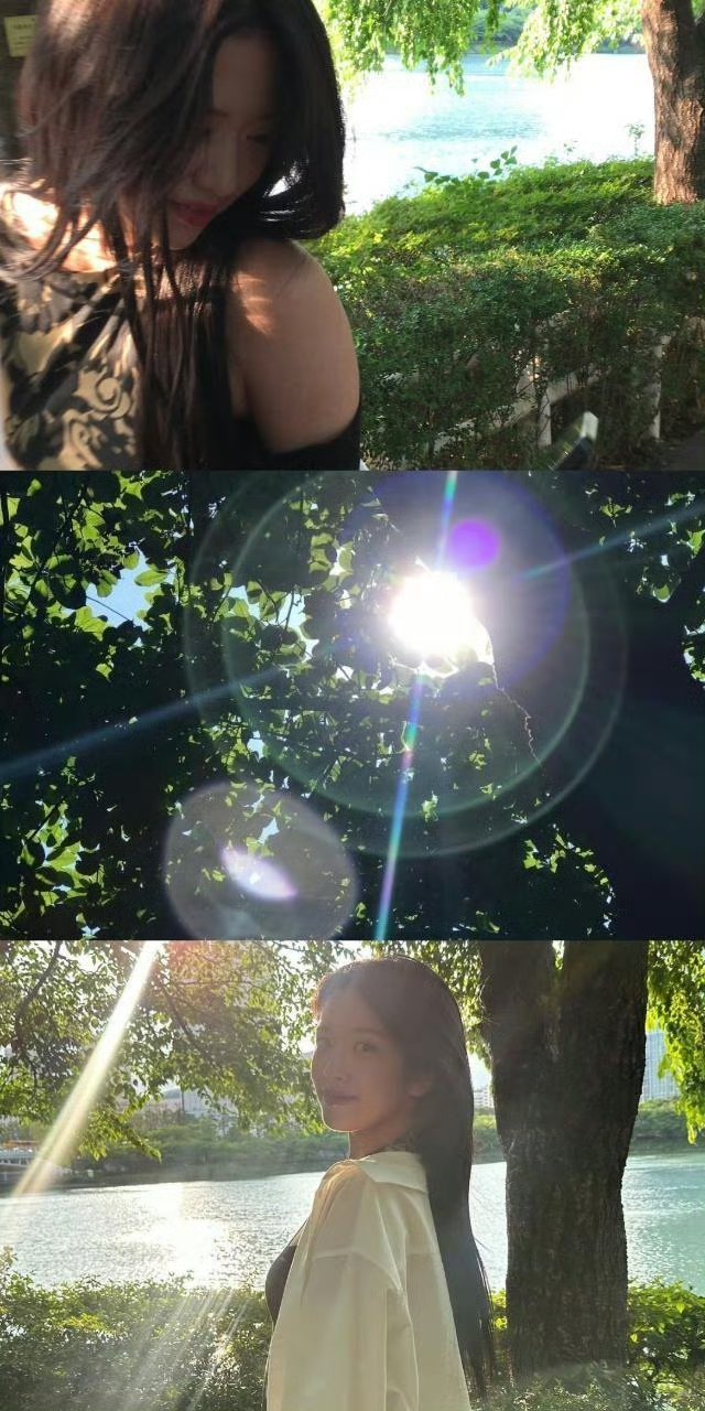 🍃​​​