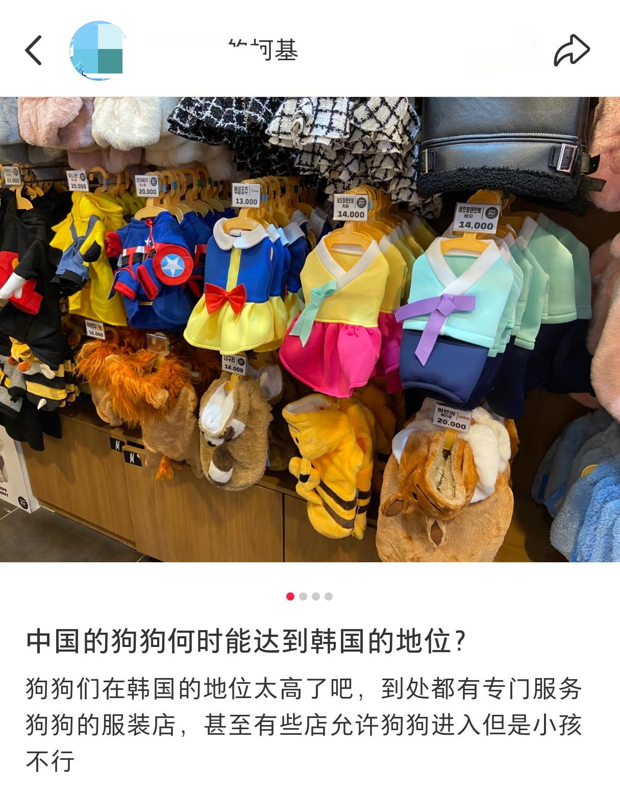 这得多没有文化，捧爱狗文化捧到了韩国头上，让爱狗的和不爱狗的都“一见静音”，建议