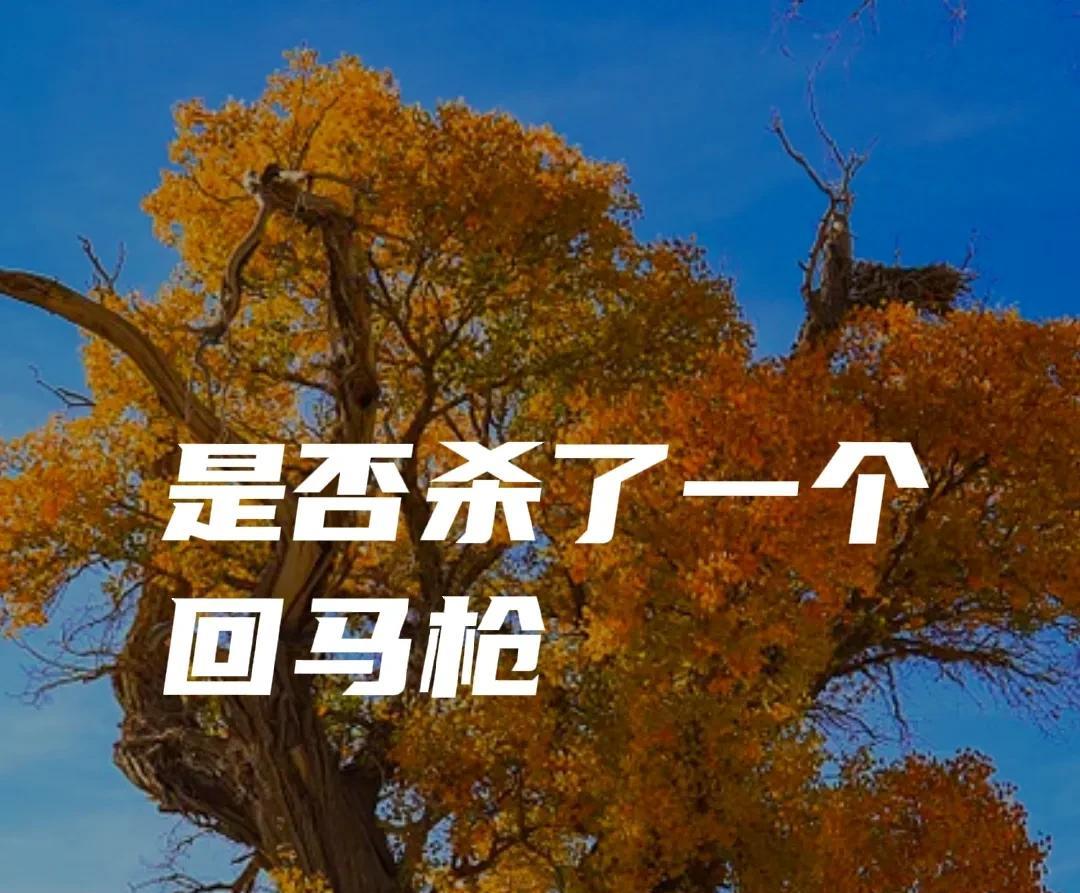 宜昌站老刀先生演唱会第2场是不是又唱了大眼睛这首歌，很多刀迷圈主播发了这样的小视