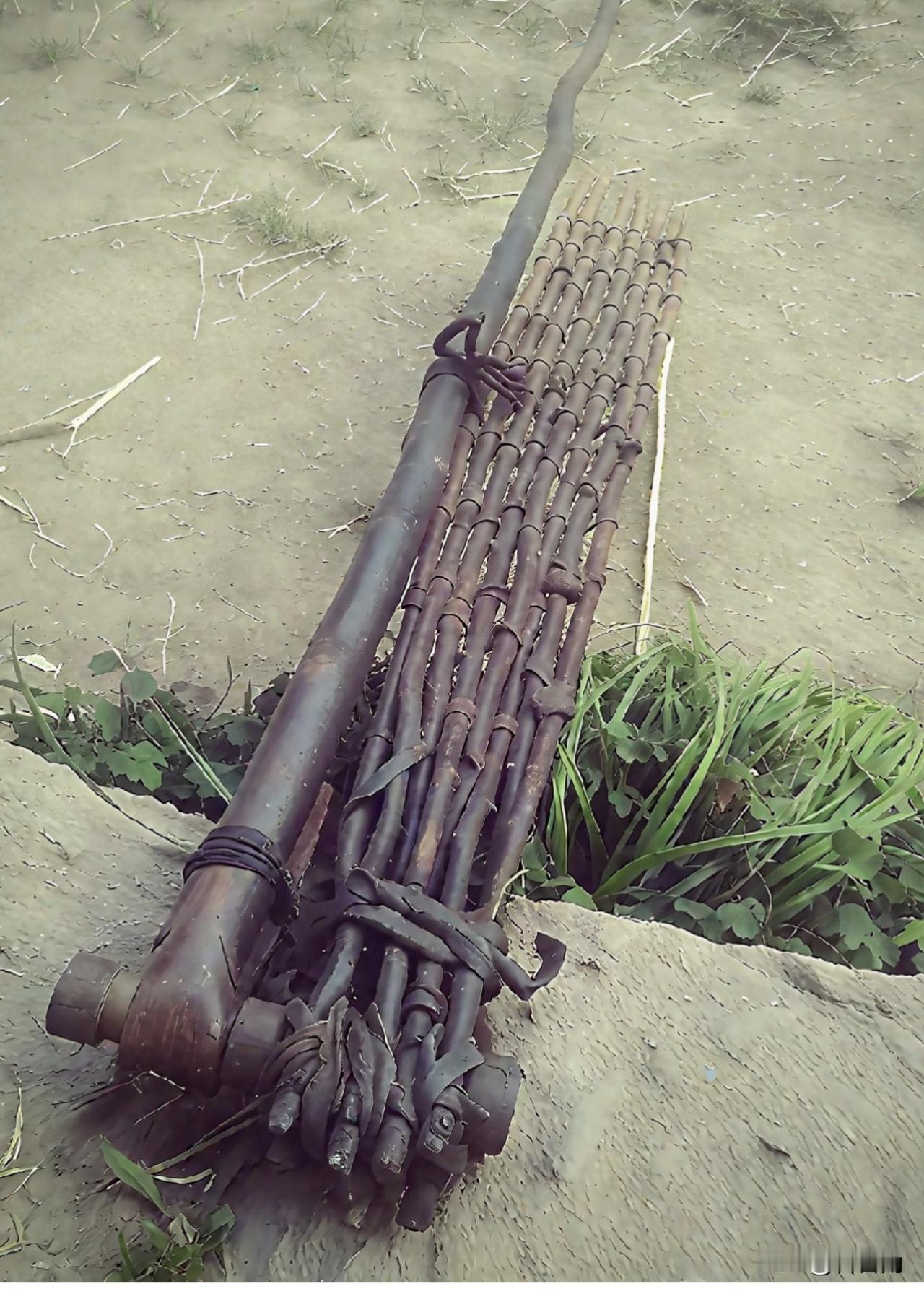 我敢说，这玩意儿99%的年轻人都叫不上名！但你肯定在老家见过它。前几天回农村