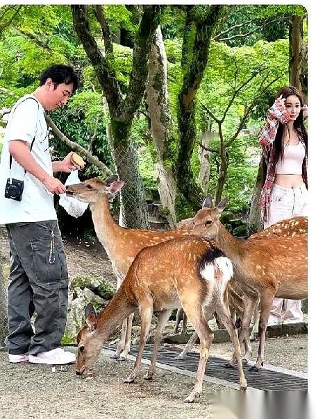 项链挂二手，标个“全新”，姐们儿你是懂商业的。那边刚拍到新人笑，这边就火速资产