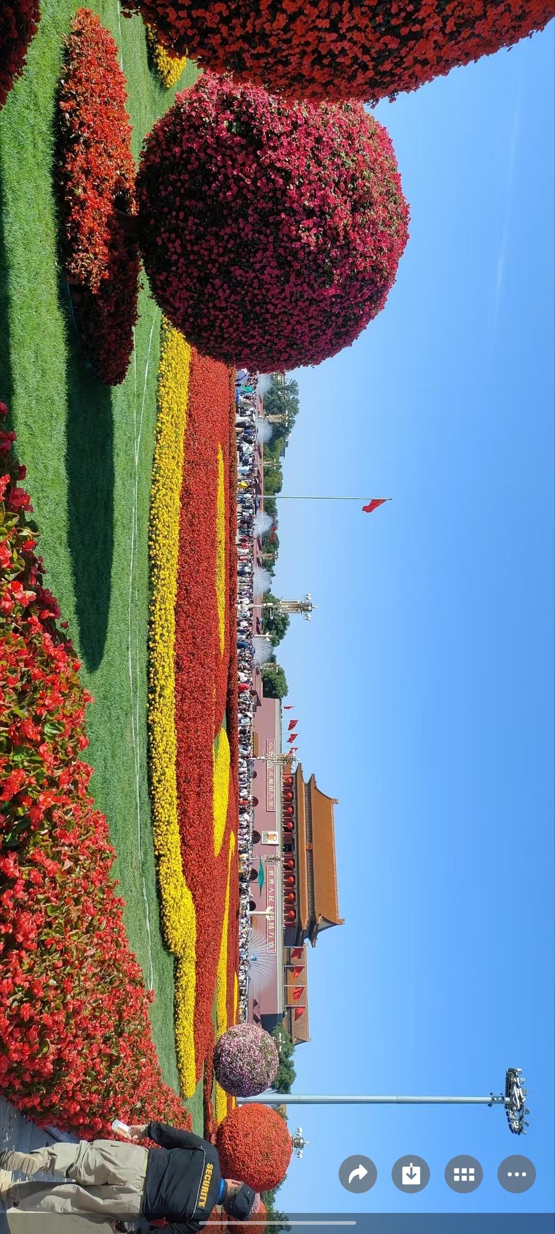 花海盛开，人潮涌动，打卡打卡！🌸📸