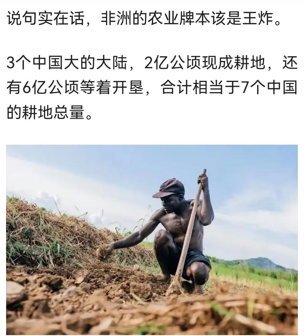 世界农业的希望在非洲。（图一）非洲真是地大物博，尤其是农业发展前景广大，其中2