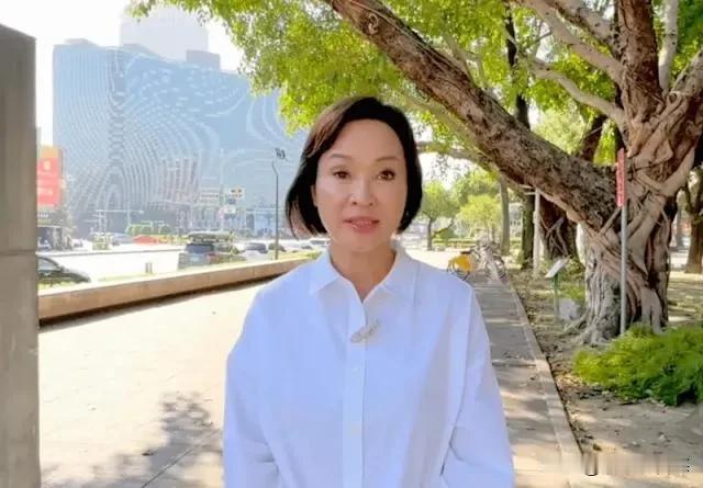 柯志恩力拼2026高雄市长选举，学者强调四大补强方向2026年1月1日，国民