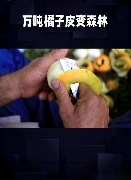 你敢信吗？一家公司被对手告到破产，就因为往一片荒地上倒了1.2万吨橘子皮。最骚