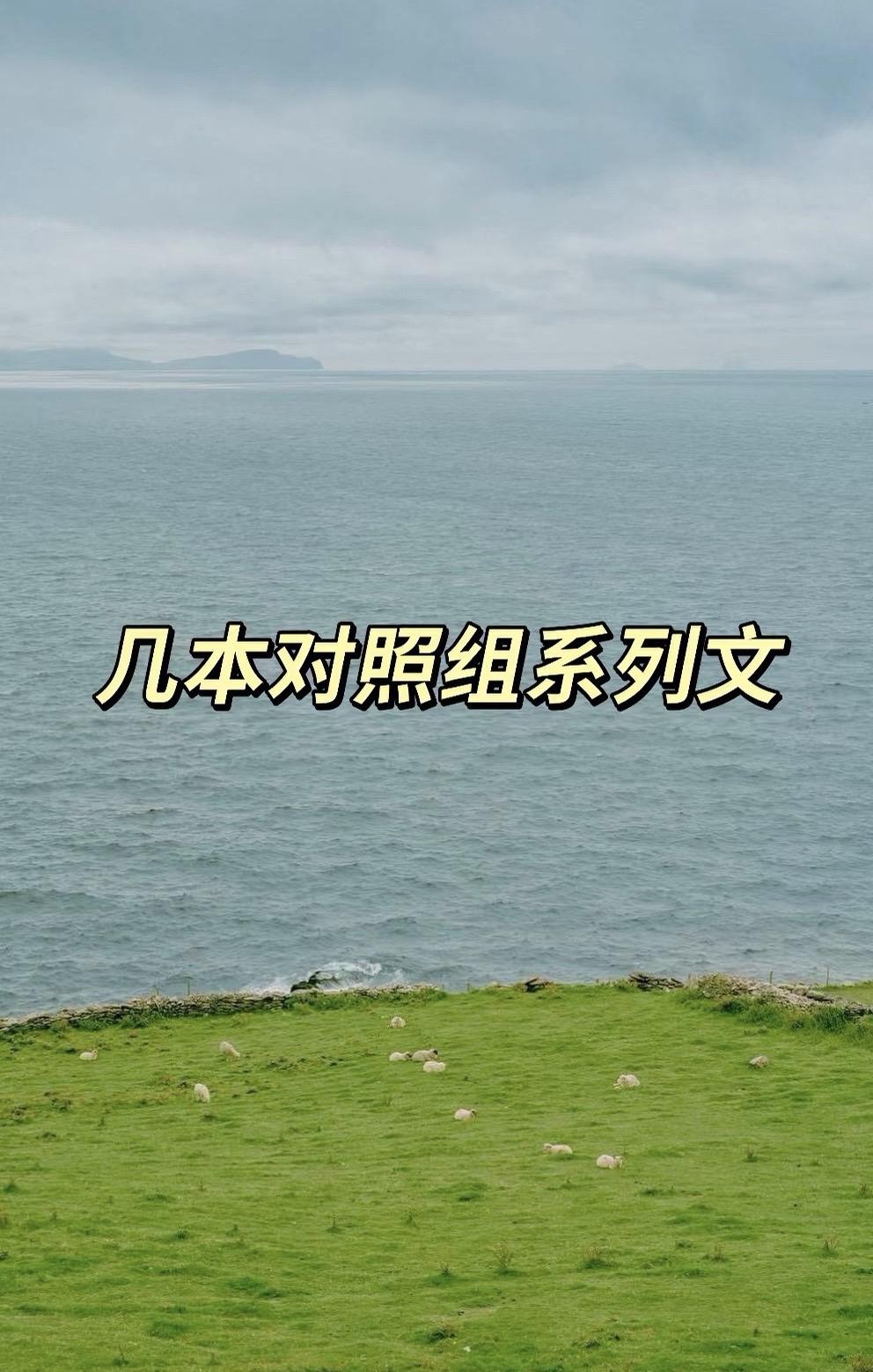 几本对照组系列文。
